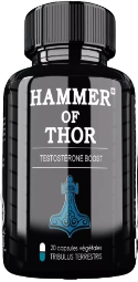 Hammer of Thor طلب