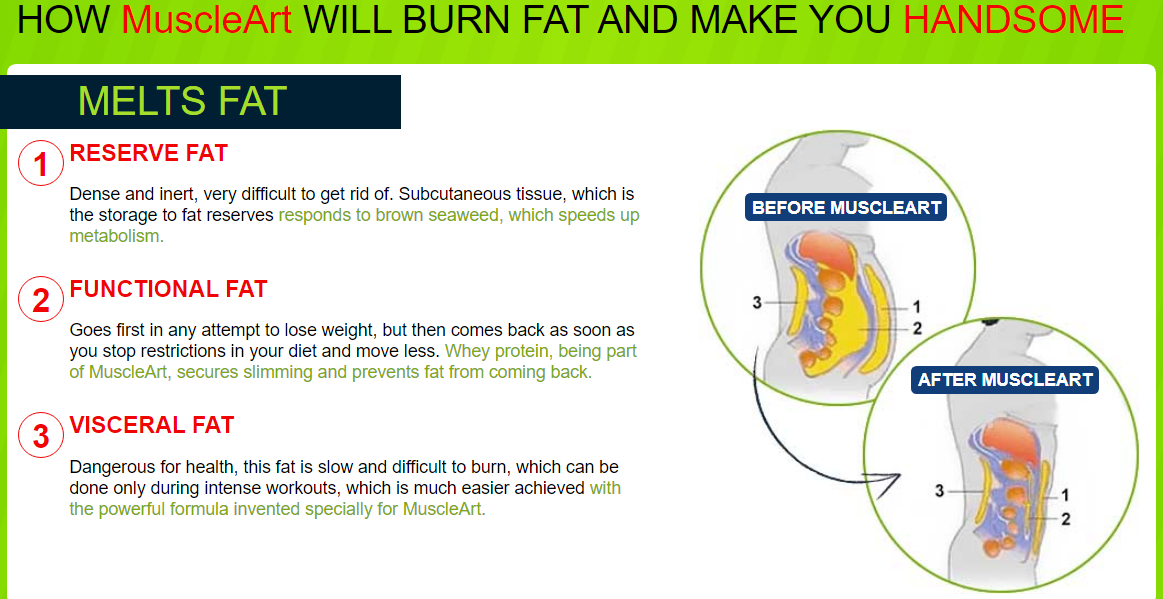 How MuscleArt Will Burn Fat And Make You Handsome