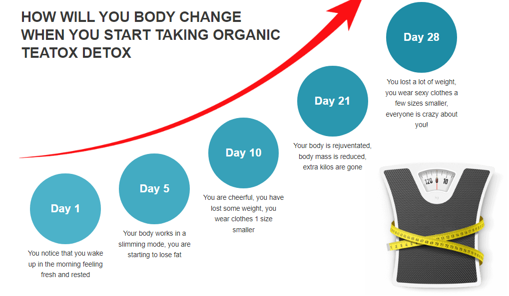 How Will You Body Changewhen You Start Taking Organic TeaTox Detox