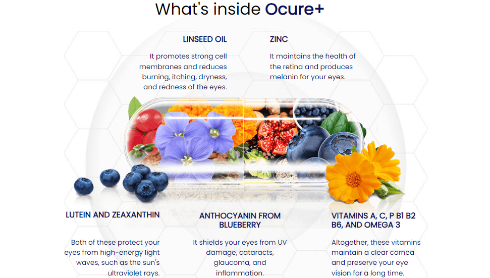 What's inside Ocure+