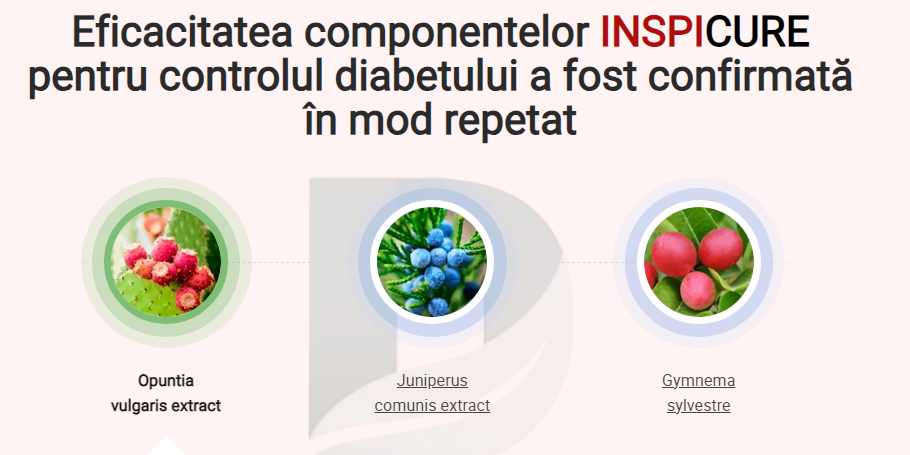 Eficacitatea componentelor INSPI CURE pentru controlul diabetului a fost confirmată în mod repetat