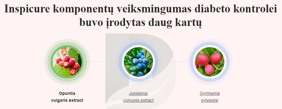 Inspicure komponentų veiksmingumas diabeto kontrolei buvo įrodytas daug kartų