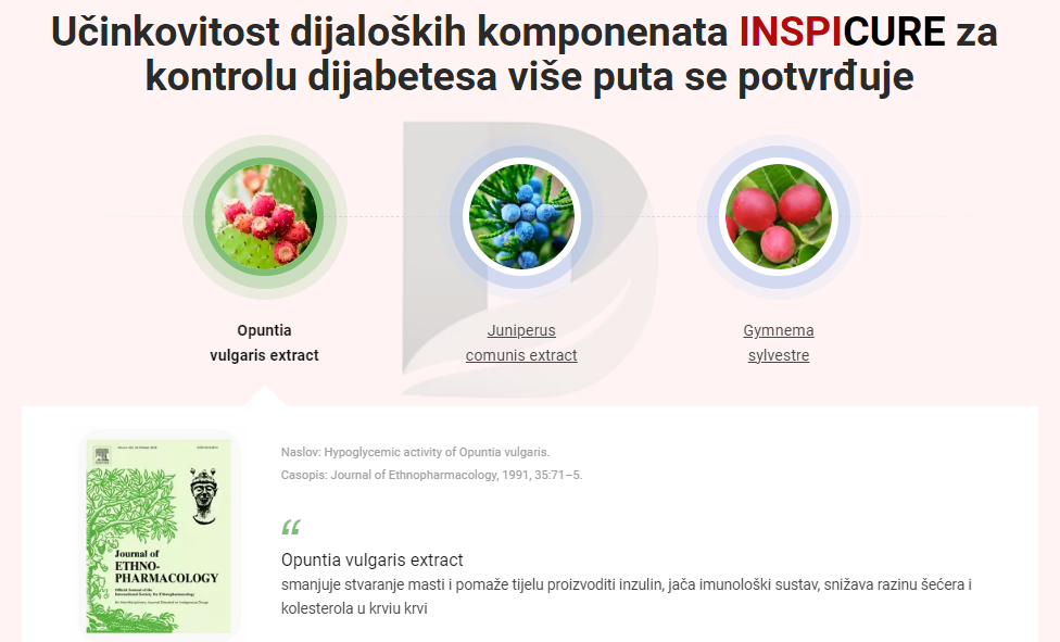 Učinkovitost dijaloških komponenata INSPICURE za kontrolu dijabetesa više puta se potvrđuje