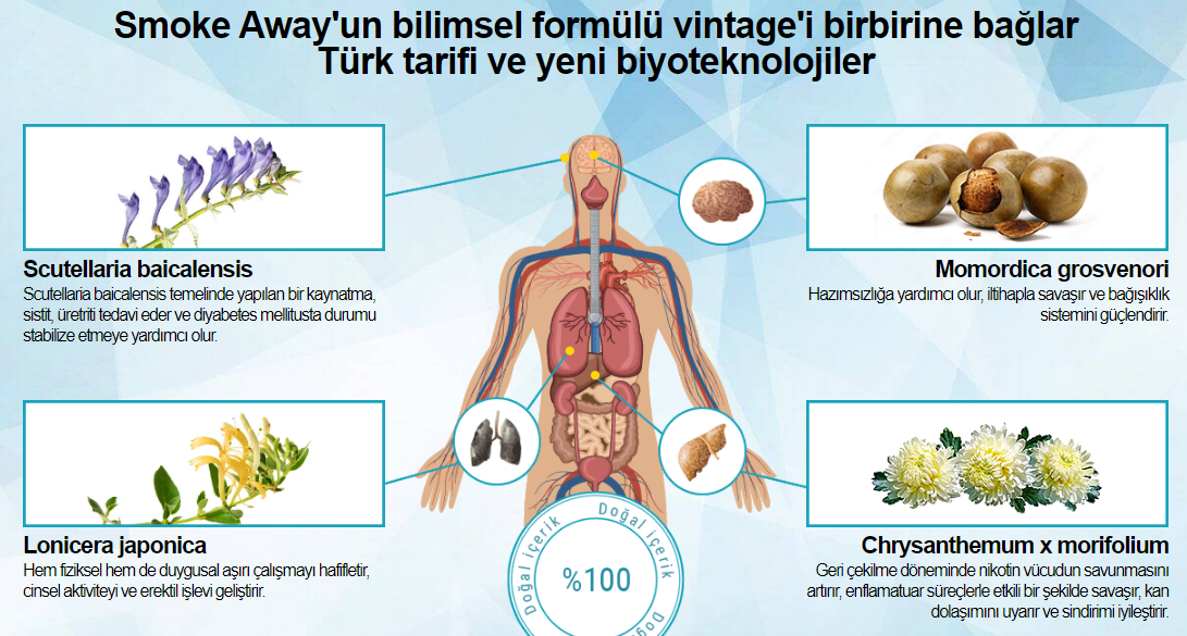 Smoke Away'un bilimsel formülü vintage'i birbirine bağlar Türk tarifi ve yeni biyoteknolojiler