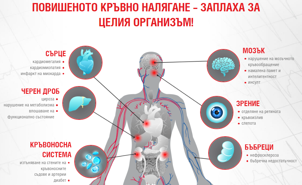 ПОВИШЕНОТО КРЪВНО НАЛЯГАНЕ – ЗАПЛАХА ЗА ЦЕЛИЯ ОРГАНИЗЪМ!