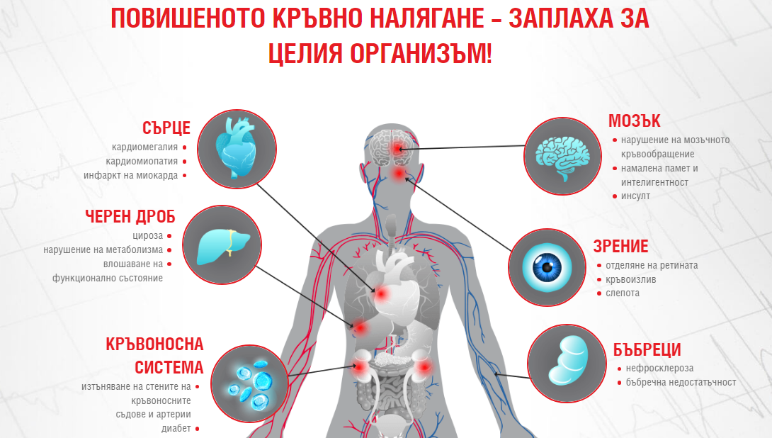 ПОВИШЕНОТО КРЪВНО НАЛЯГАНЕ – ЗАПЛАХА ЗА ЦЕЛИЯ ОРГАНИЗЪМ