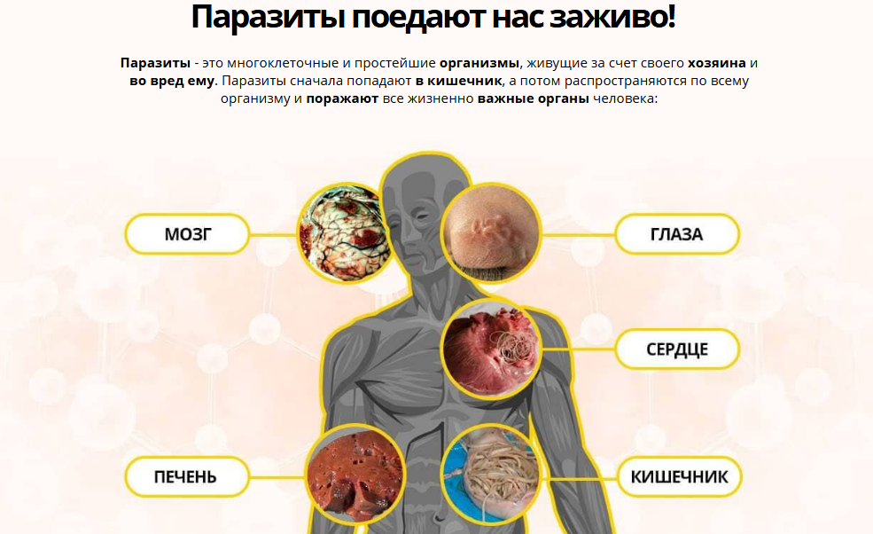 Паразиты поедают нас заживо