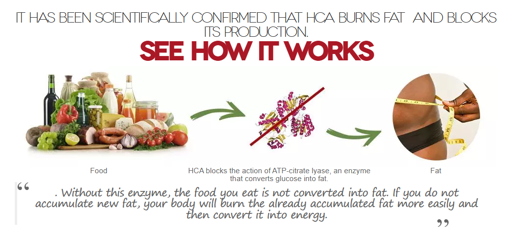 IT HAS BEEN SCIENTIFICALLY CONFIRMED THAT HCA BURNS FAT AND BLOCKS ITS PRODUCTION.